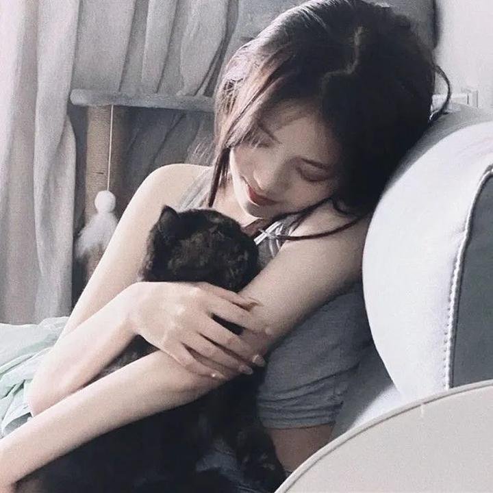 七号禁毒组
